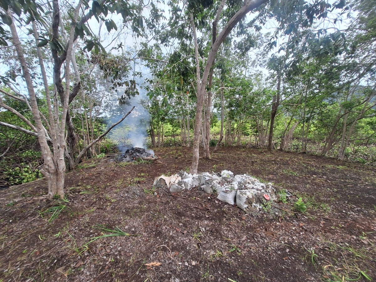 Private Tiny Island, 318 m² — Tierra Oscura - 4