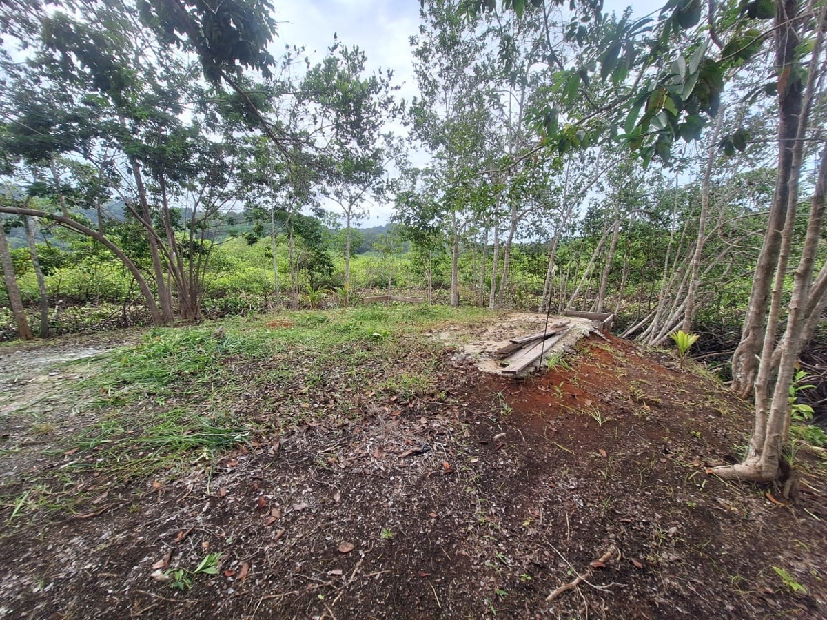 Private Tiny Island, 318 m² — Tierra Oscura - 13
