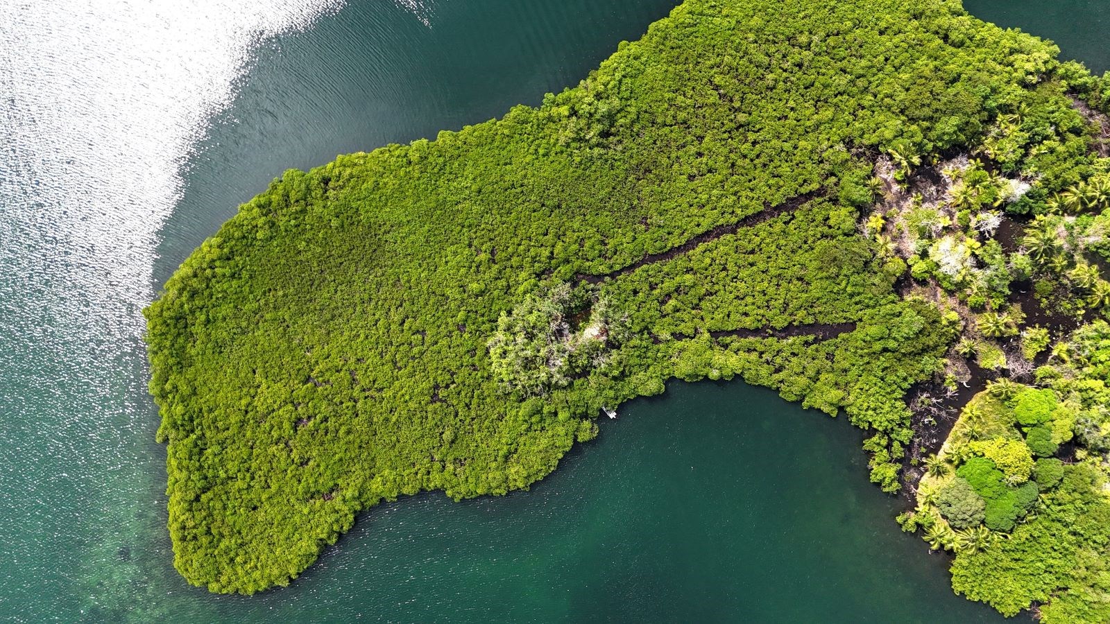 Private Tiny Island, 318 m² — Tierra Oscura - 9