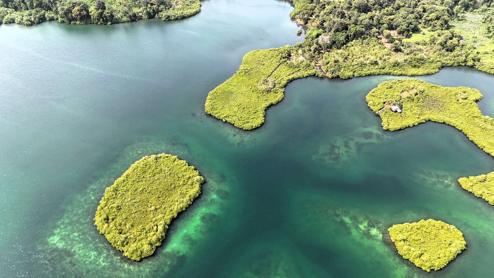 Private Tiny Island, 318 m² — Tierra Oscura - 2