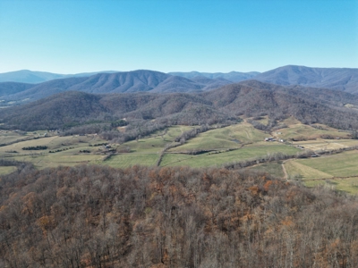 Your Tranquil Haven Awaits in Madison County, VA - image 12