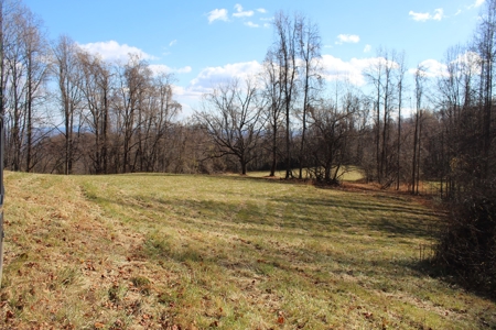 Your Tranquil Haven Awaits in Madison County, VA - image 3