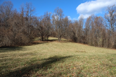 Your Tranquil Haven Awaits in Madison County, VA - image 5