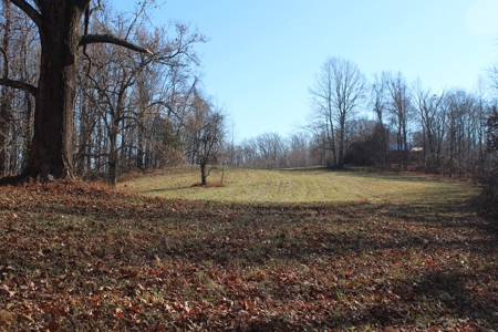 Your Tranquil Haven Awaits in Madison County, VA - image 4