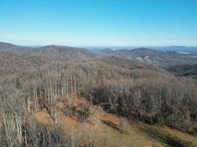 Your Tranquil Haven Awaits in Madison County, VA - image 14