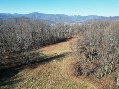 Your Tranquil Haven Awaits in Madison County, VA - image 11