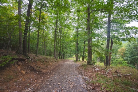 Recreational Land for Sale in Blacksburg VA! - image 5