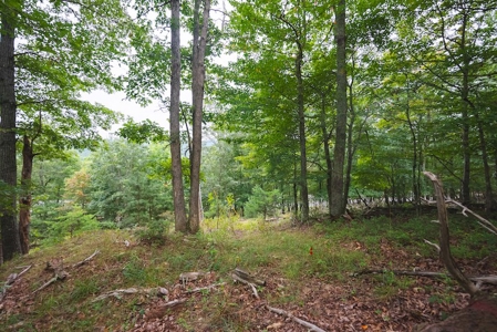 Recreational Land for Sale in Blacksburg VA! - image 4