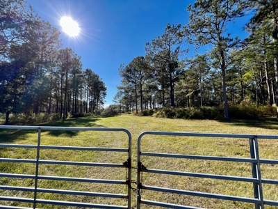 Land For Sale Coffee County, Alabama-Brundidge Alabama - image 9