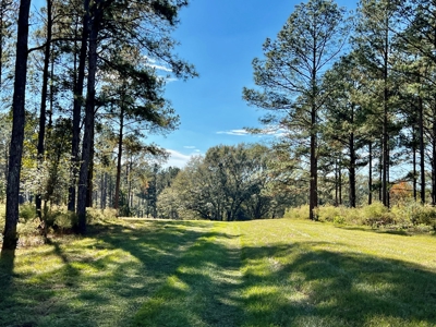 Land For Sale Coffee County, Alabama-Brundidge Alabama - image 12
