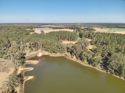 Land For Sale Coffee County, Alabama-Brundidge Alabama - image 5