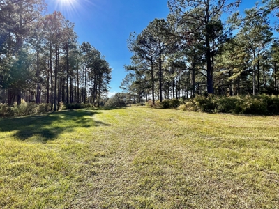 Land For Sale Coffee County, Alabama-Brundidge Alabama - image 2
