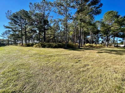 Land For Sale Coffee County, Alabama-Brundidge Alabama - image 20