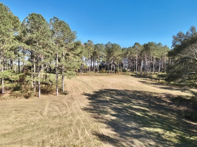 Land For Sale Coffee County, Alabama-Brundidge Alabama - image 8