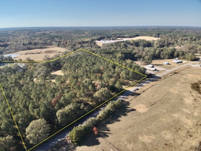Land For Sale Coffee County, Alabama-Brundidge Alabama - image 14