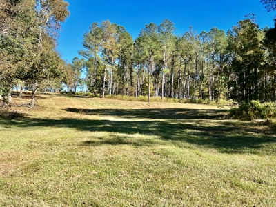 Land For Sale Coffee County, Alabama-Brundidge Alabama - image 25
