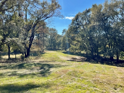 Land For Sale Coffee County, Alabama-Brundidge Alabama - image 24