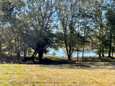 Land For Sale Coffee County, Alabama-Brundidge Alabama - image 23