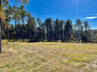 Land For Sale Coffee County, Alabama-Brundidge Alabama - image 21
