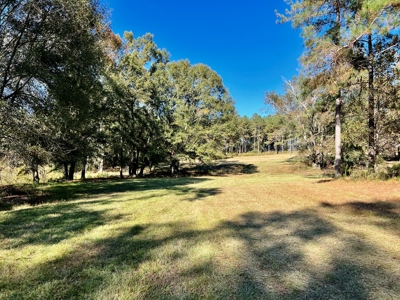 Land For Sale Coffee County, Alabama-Brundidge Alabama - image 7