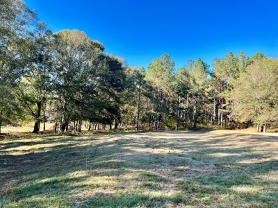 Land For Sale Coffee County, Alabama-Brundidge Alabama - image 17