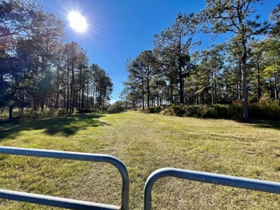 Land For Sale Coffee County, Alabama-Brundidge Alabama - image 19