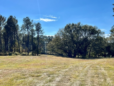 Land For Sale Coffee County, Alabama-Brundidge Alabama - image 22