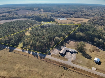 Land For Sale Coffee County, Alabama-Brundidge Alabama - image 16
