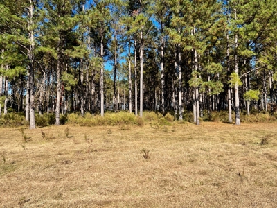 Land For Sale Coffee County, Alabama-Brundidge Alabama - image 3