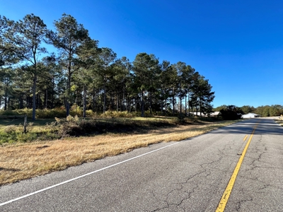 Land For Sale Coffee County, Alabama-Brundidge Alabama - image 13