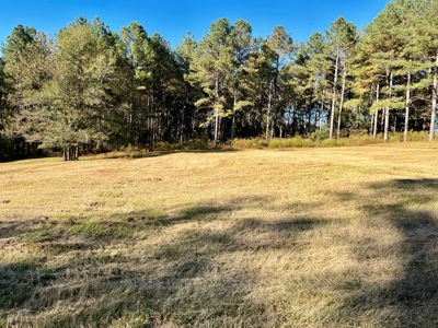 Land For Sale Coffee County, Alabama-Brundidge Alabama - image 30