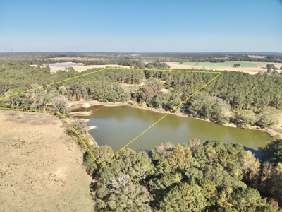 Land For Sale Coffee County, Alabama-Brundidge Alabama - image 4