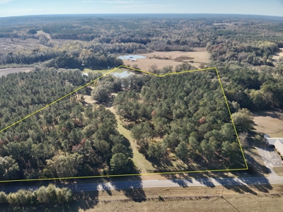 Land For Sale Coffee County, Alabama-Brundidge Alabama - image 15