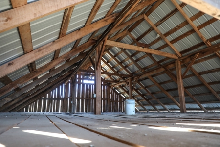 Log home Kentucky Horse Farm for sale on 12 + acres - image 3