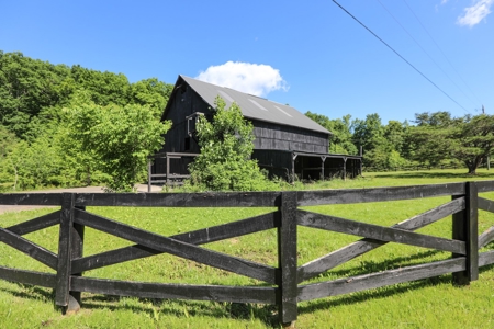 Log home Kentucky Horse Farm for sale on 12 + acres - image 43