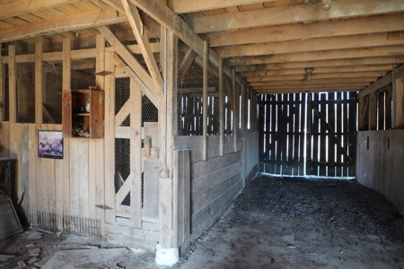 Log home Kentucky Horse Farm for sale on 12 + acres - image 2