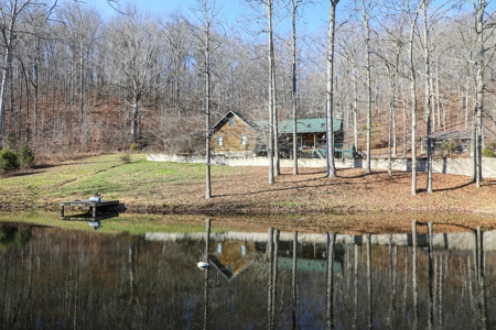 Log home Kentucky Horse Farm for sale on 12 + acres - image 4
