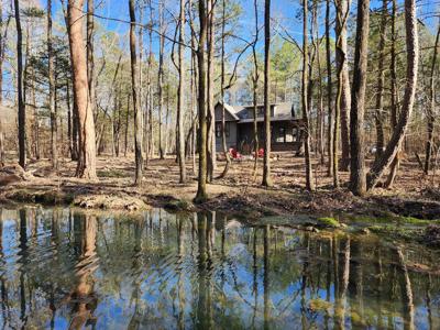 Income Producing Recreational Cabin – National Forest Area - image 7