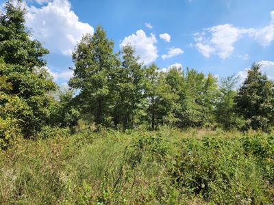 Winding Stair Mountain – Near National Forest - image 10