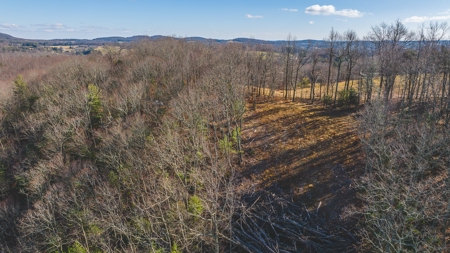 Land for Sale in Floyd VA - image 4