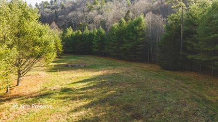 Land for Sale in Floyd VA - image 24