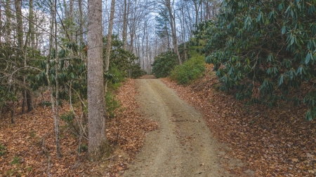 Land for Sale in Floyd VA - image 16