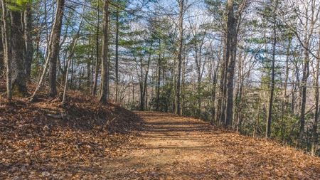 Land for Sale in Floyd VA - image 10