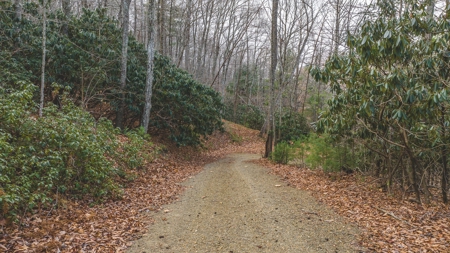 Land for Sale in Floyd VA - image 17