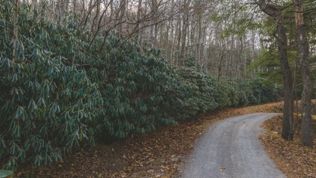 Land for Sale in Floyd VA - image 18