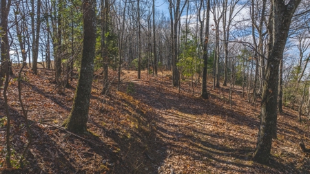 Land for Sale in Floyd VA - image 8