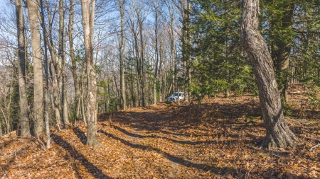 Land for Sale in Floyd VA - image 6