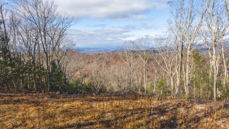 Land for Sale in Floyd VA - image 1