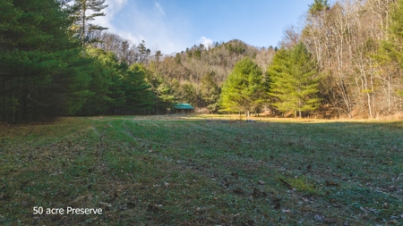 Land for Sale in Floyd VA - image 19
