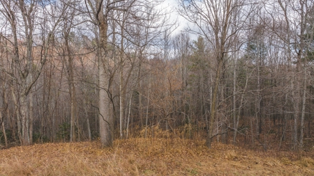Land for Sale in Floyd VA - image 13